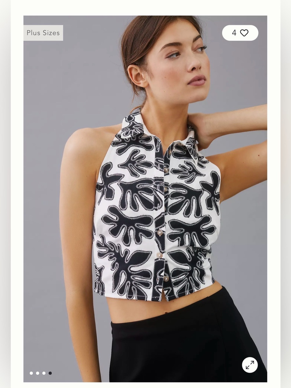 Anthropologie / Pilcro Black and White Halter Crop Top